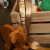 The Santa Experience | AlbanyCreekSantaPhotos.jpg