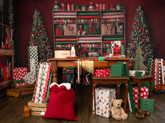Christmas Mini Sessions